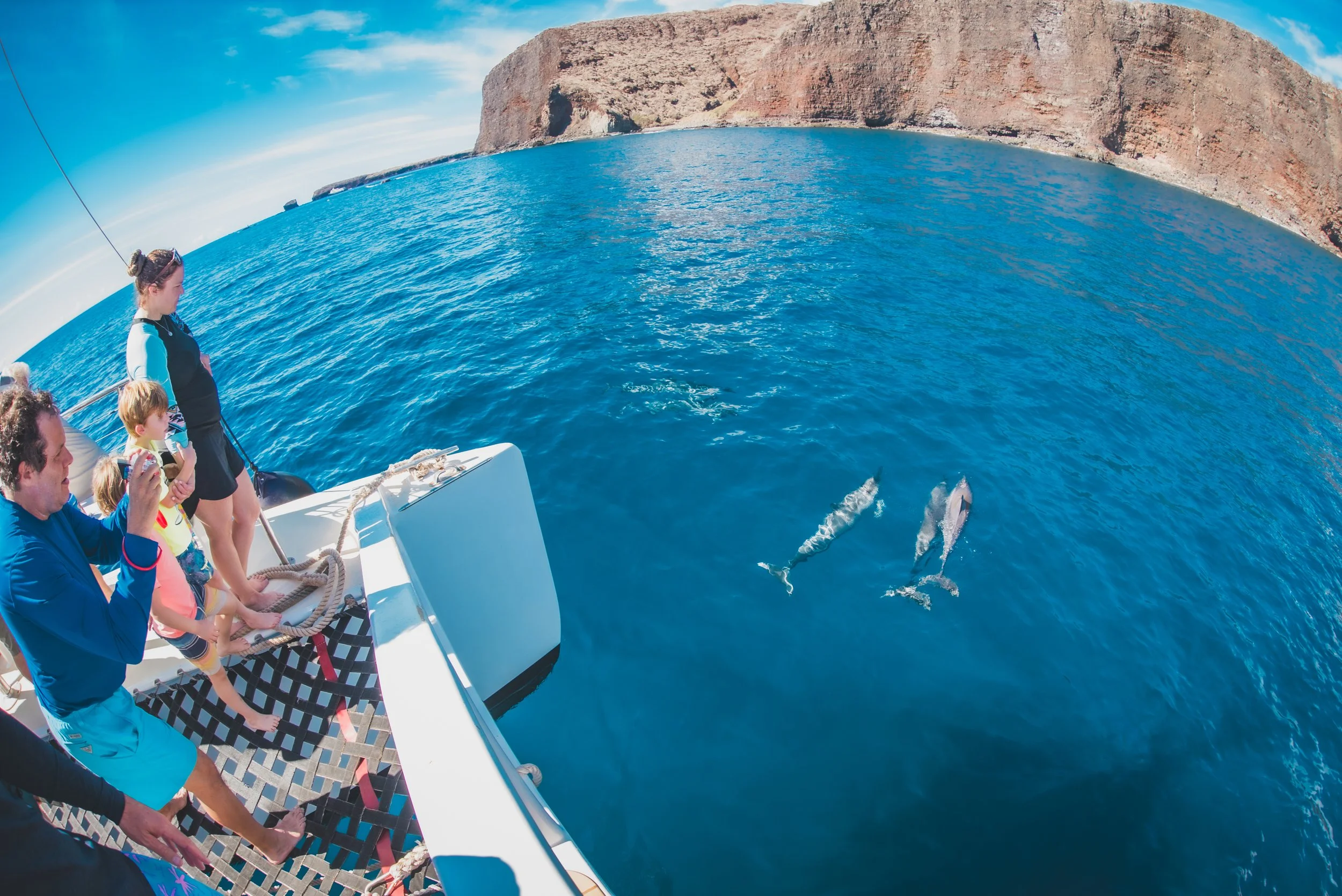 Spinner Dolphins Lanai