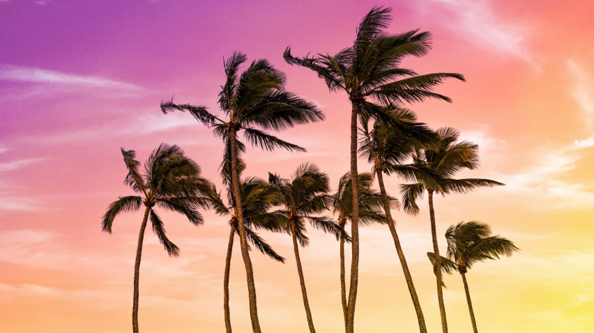 Which Hawaiian Island Should I Visit? And Why? 