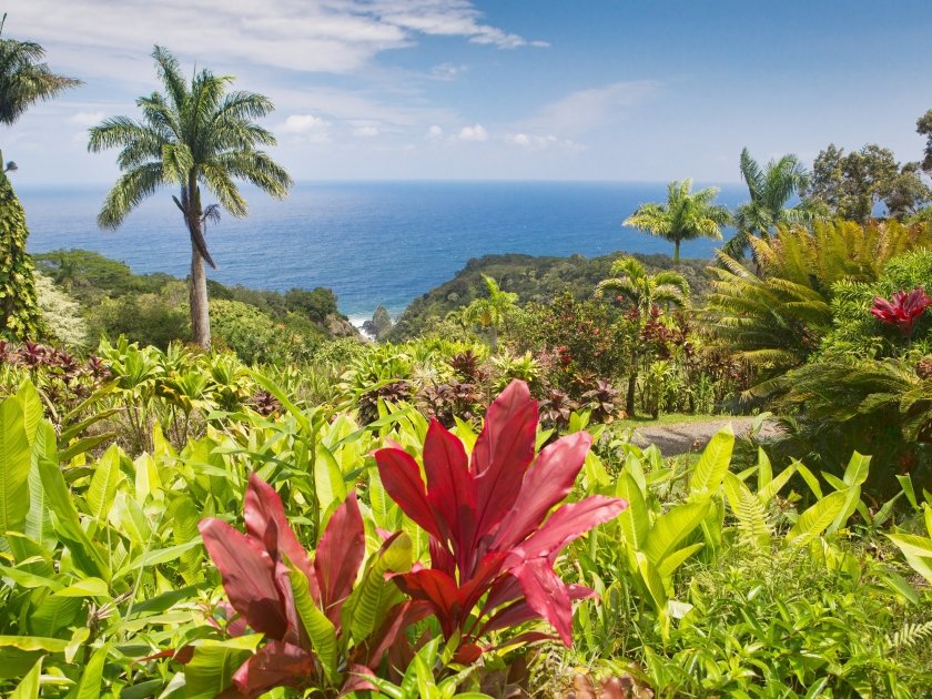 Garden of Eden Arboretum Hana Maui