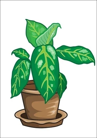 Compost