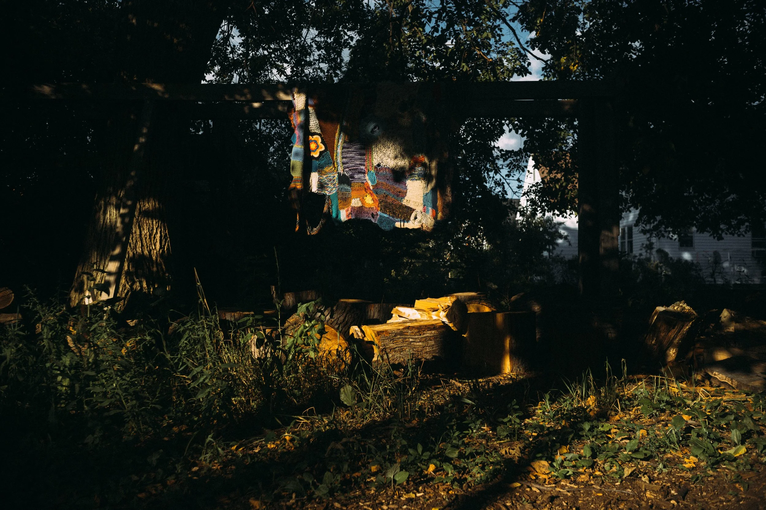 A scene outdoors at dusk showing a log with papers on it, surrounded by grass and plants. Above, colorful knitted items hang from a horizontal branch of a tree, with trees and a house in the background.