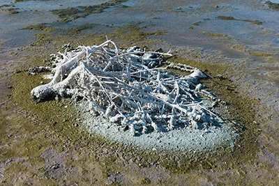 paul-turounet-salton-sea-california.jpg