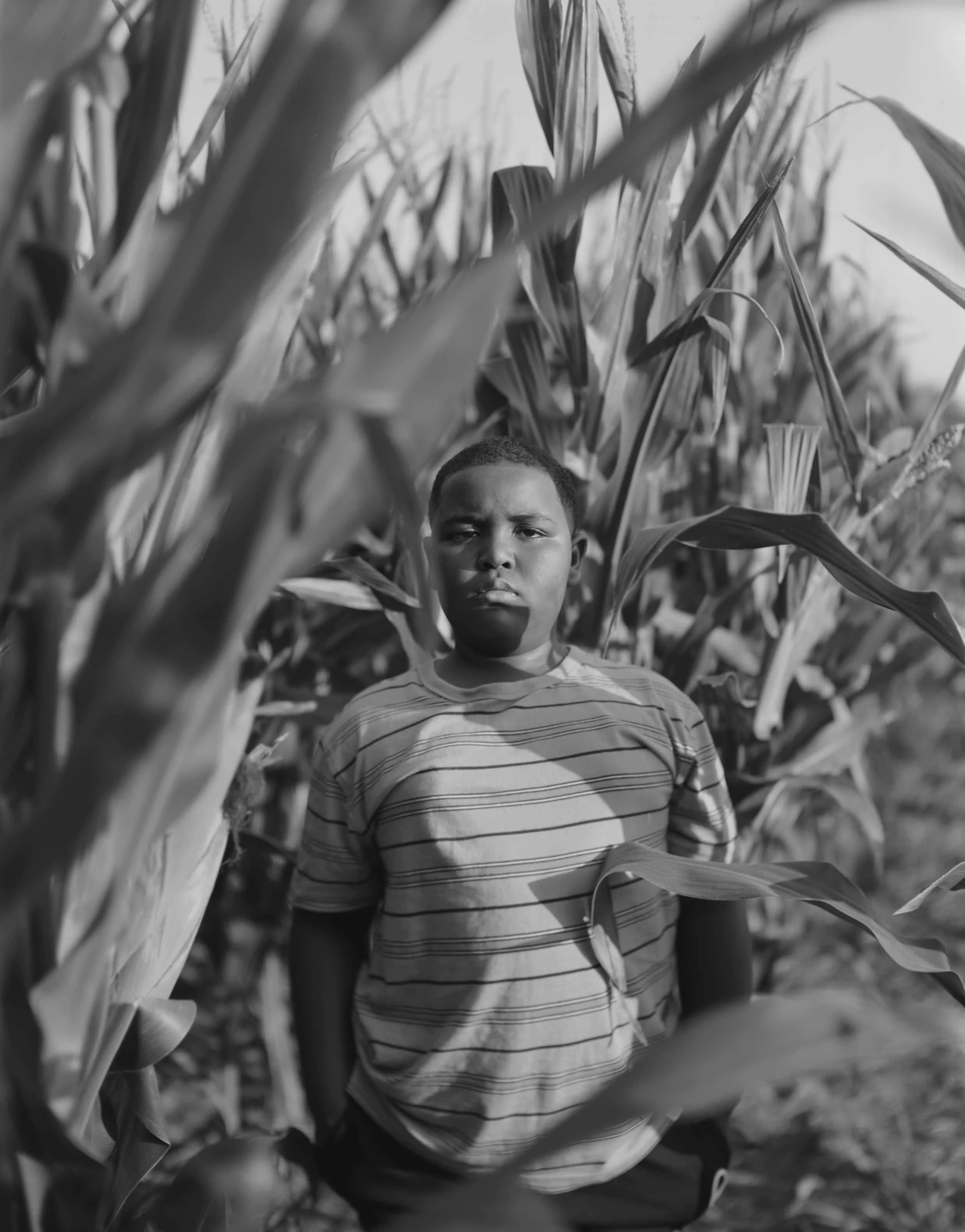 LJ in Cornfield, 2023