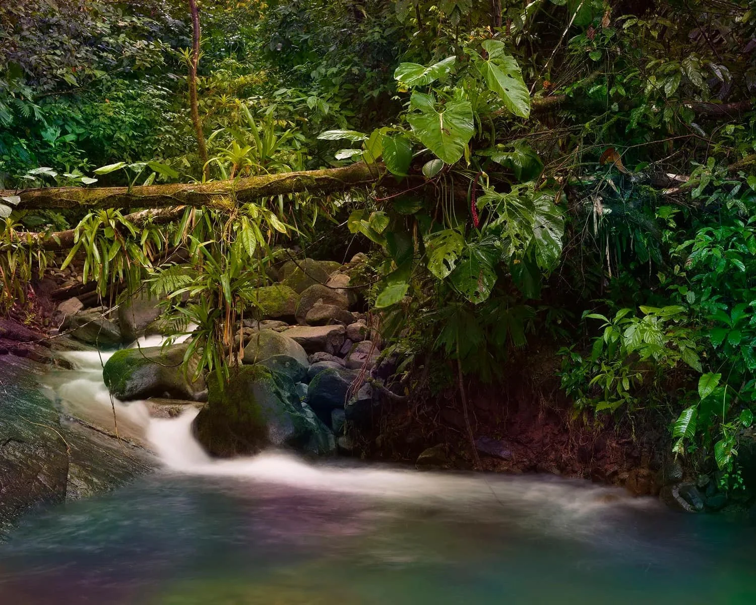 Ian Van Coller, Ojochal, Costa Rica, 2025