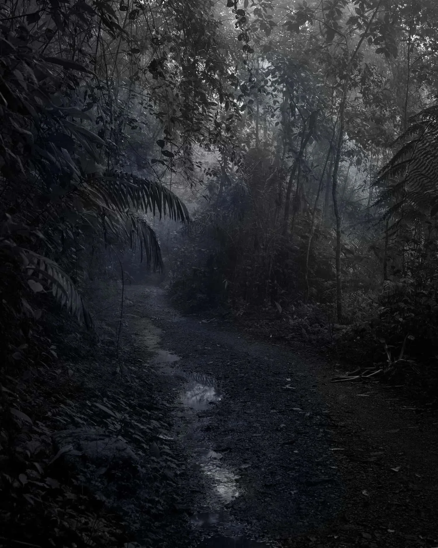 Ian Van Coller, Santa Marta, Colombia, 2021