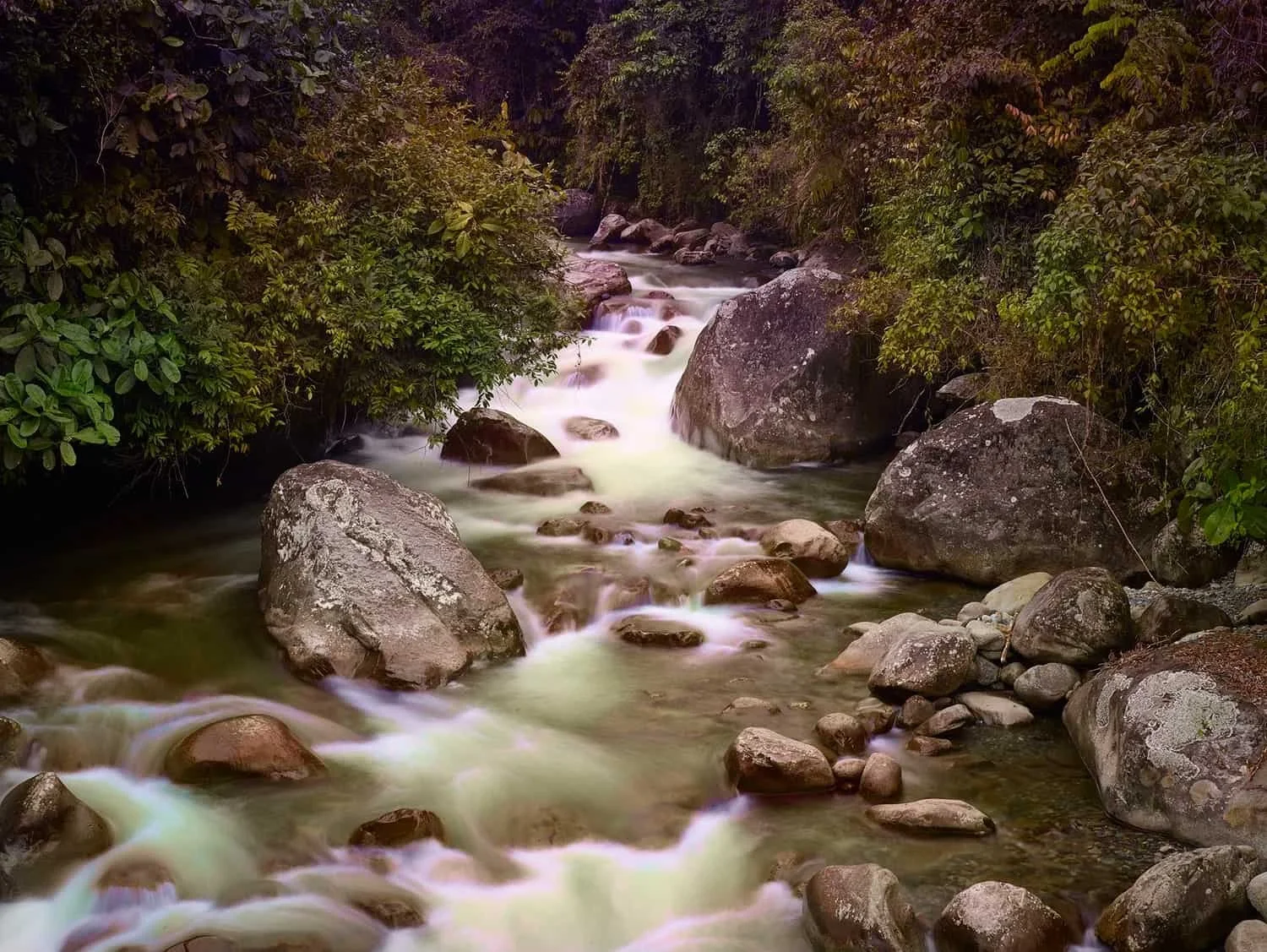Ian Van Coller, Montezuma, Colombia, 2018