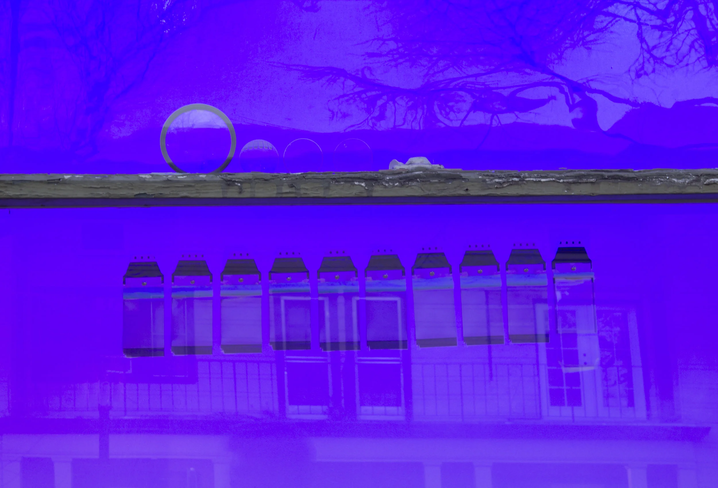 The InsideOut_Dawn05.jpg