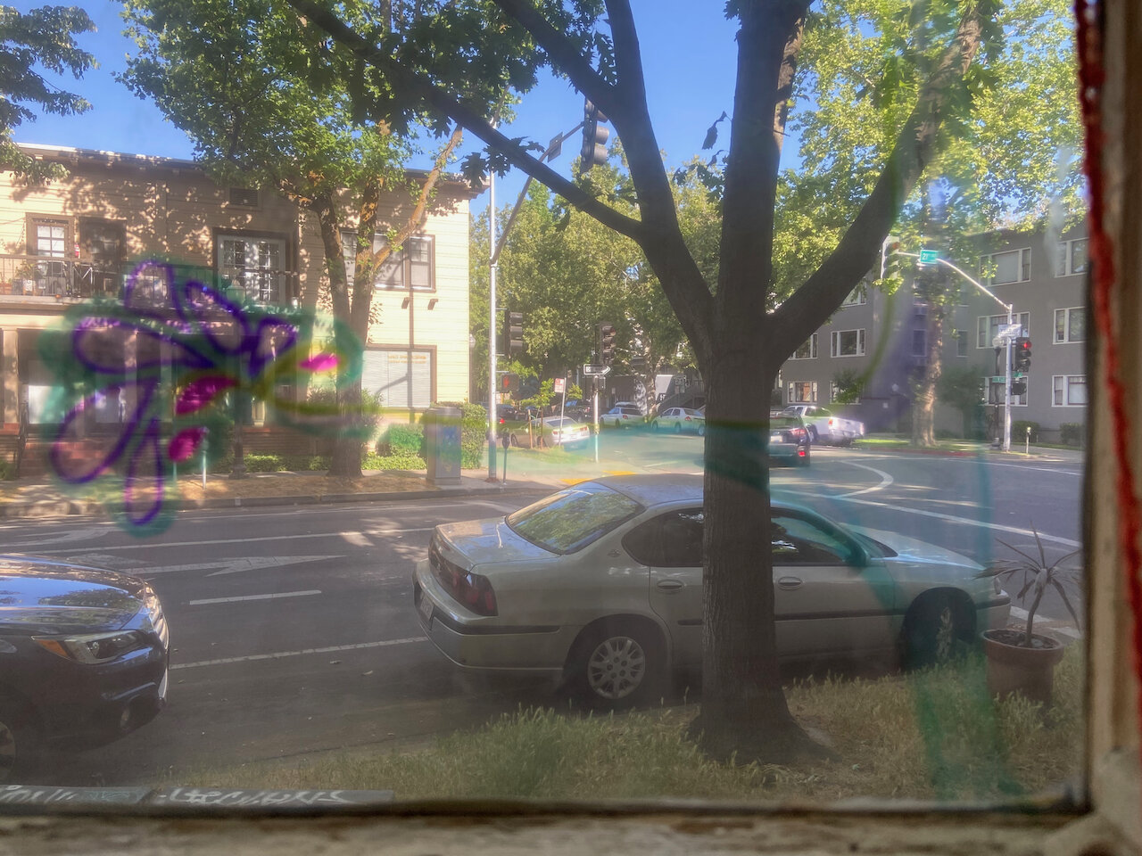 IMG_6254.jpeg