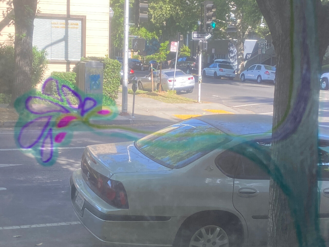 IMG_6256.jpeg