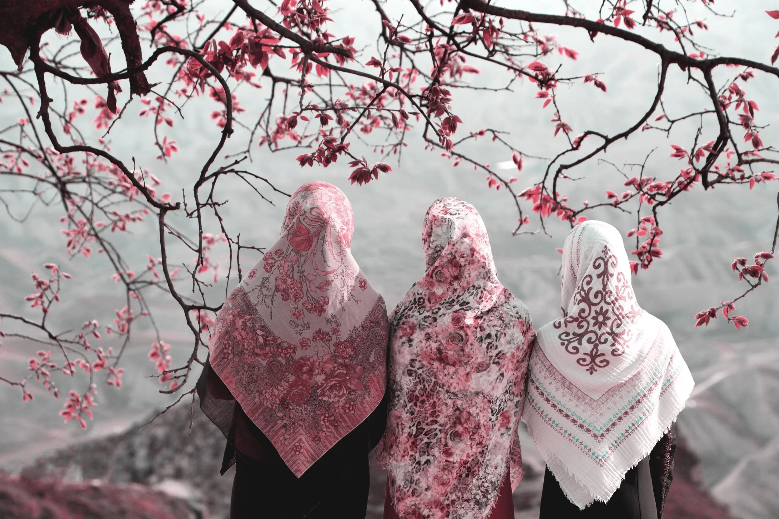 Photo by Hasan Almasi