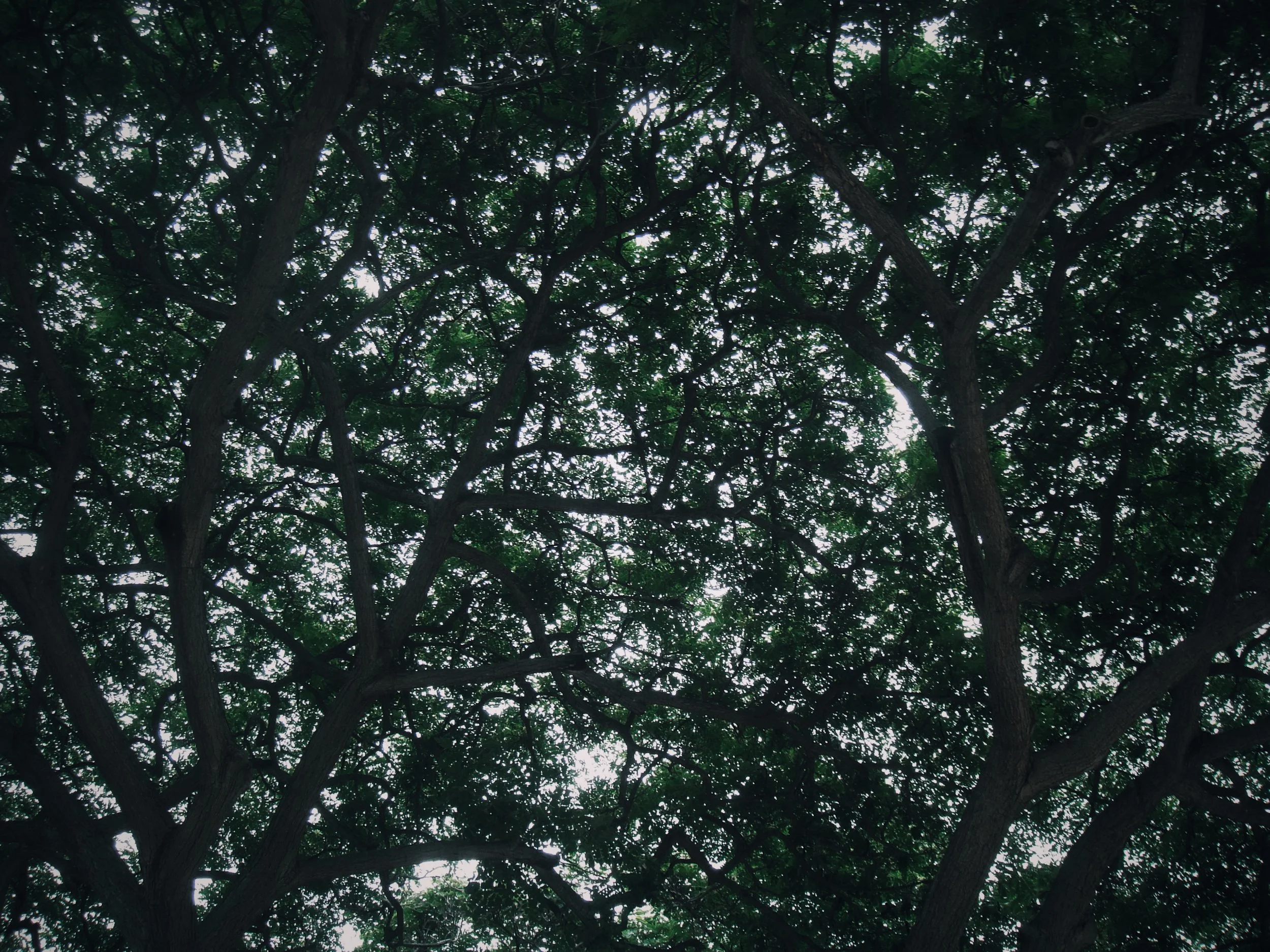 91C436A7-B9CB-460A-9E77-73DE1D88C9E3.JPG