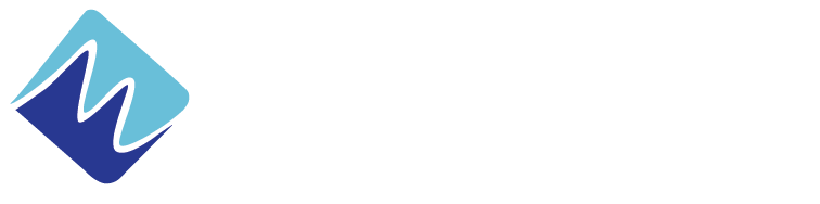 MetroWire Media