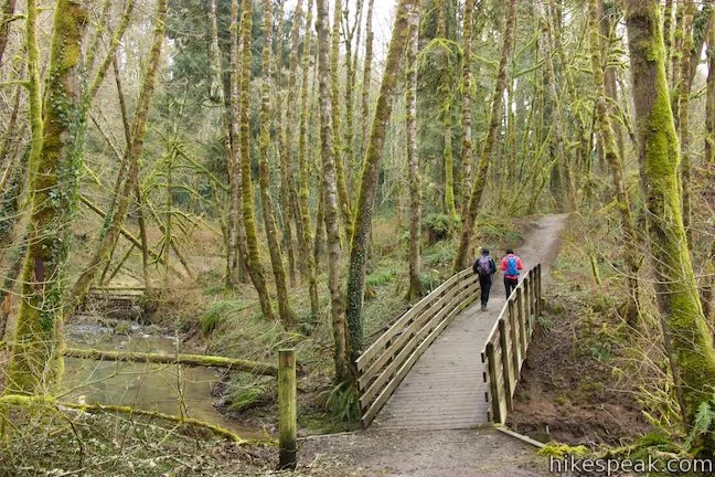Red_Fox_Trail_Tryon_Creek_State_Natural_Area_hike_0529.jpg