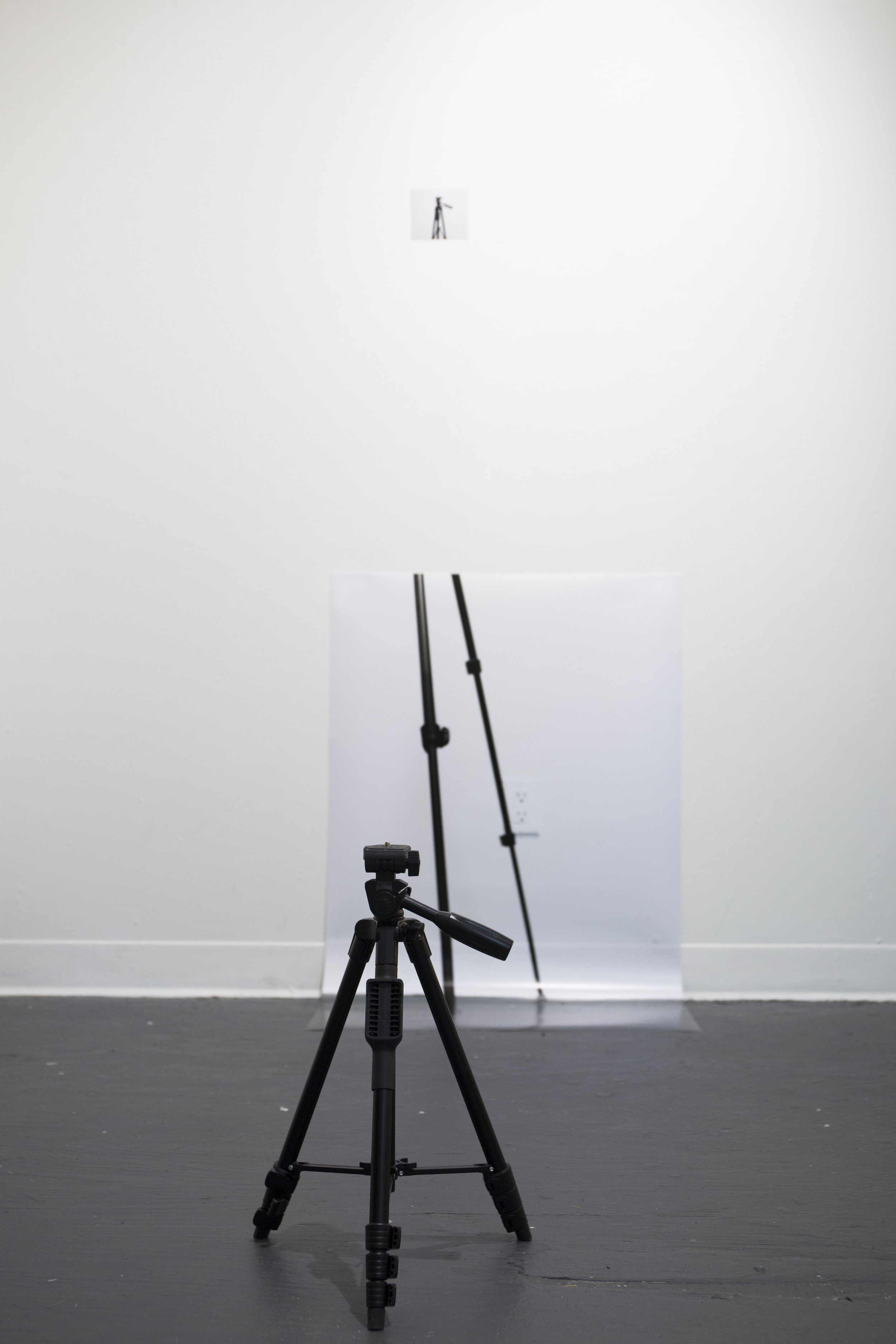 Installation view of Tripod