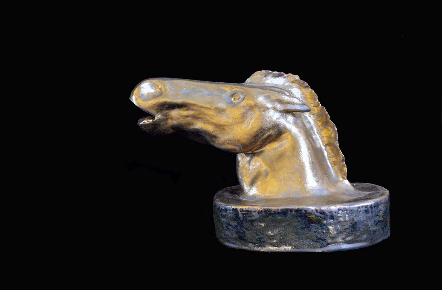 Horse Head Calling