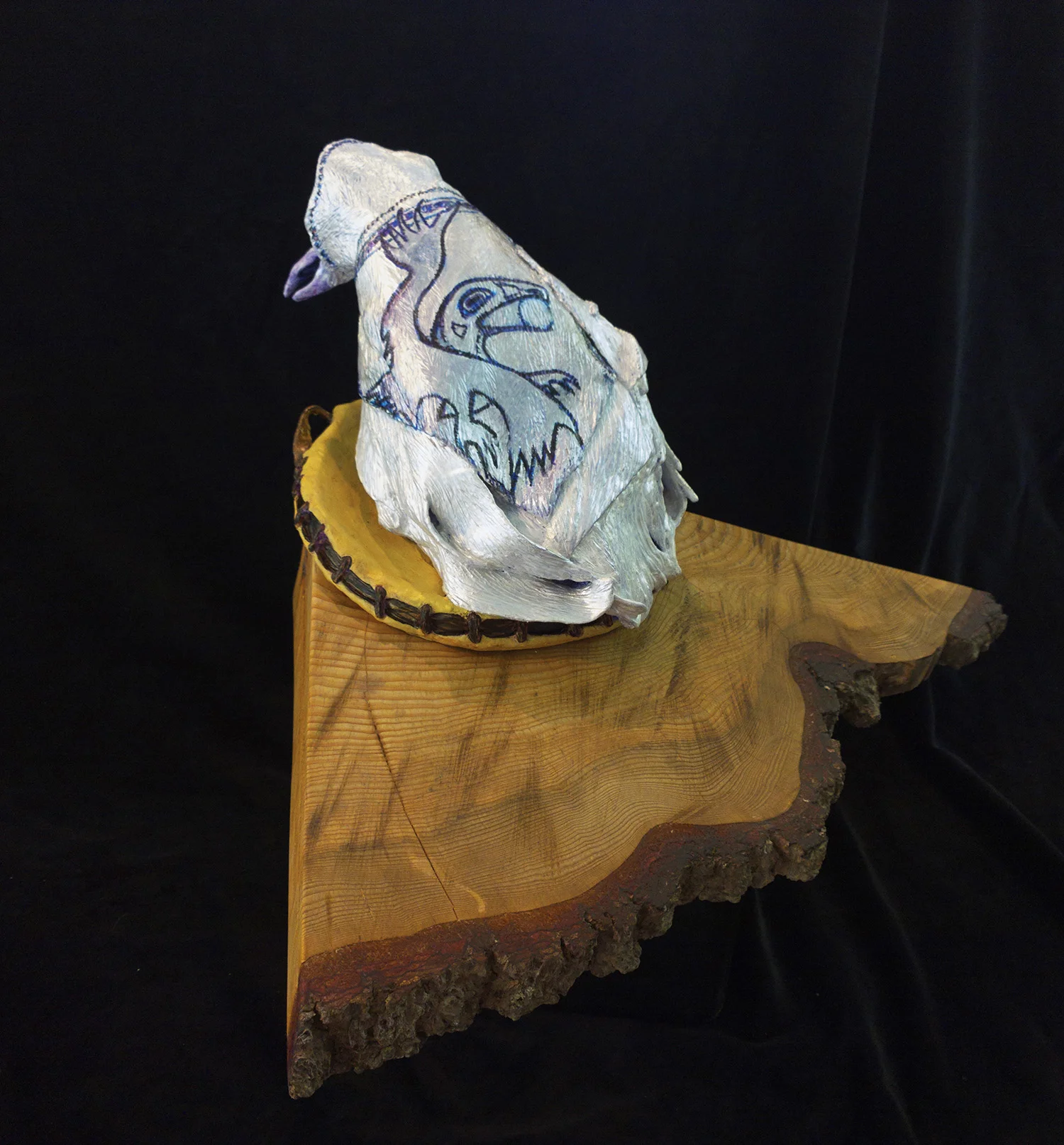 White Raven Dancer Transforming Back View