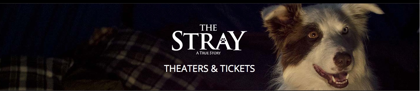 The Stray is still playing in selected theaters now. Go HERE or click on the image above to find locations where it is being shown.