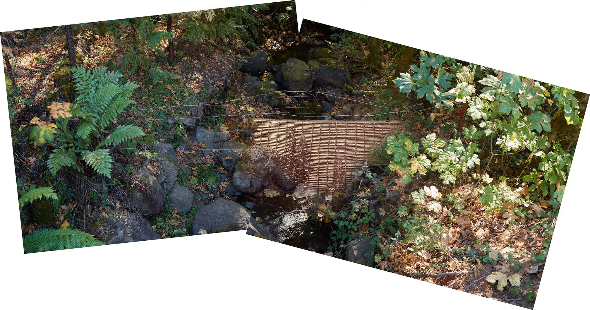 Lava Camp Tailing Mine Dam