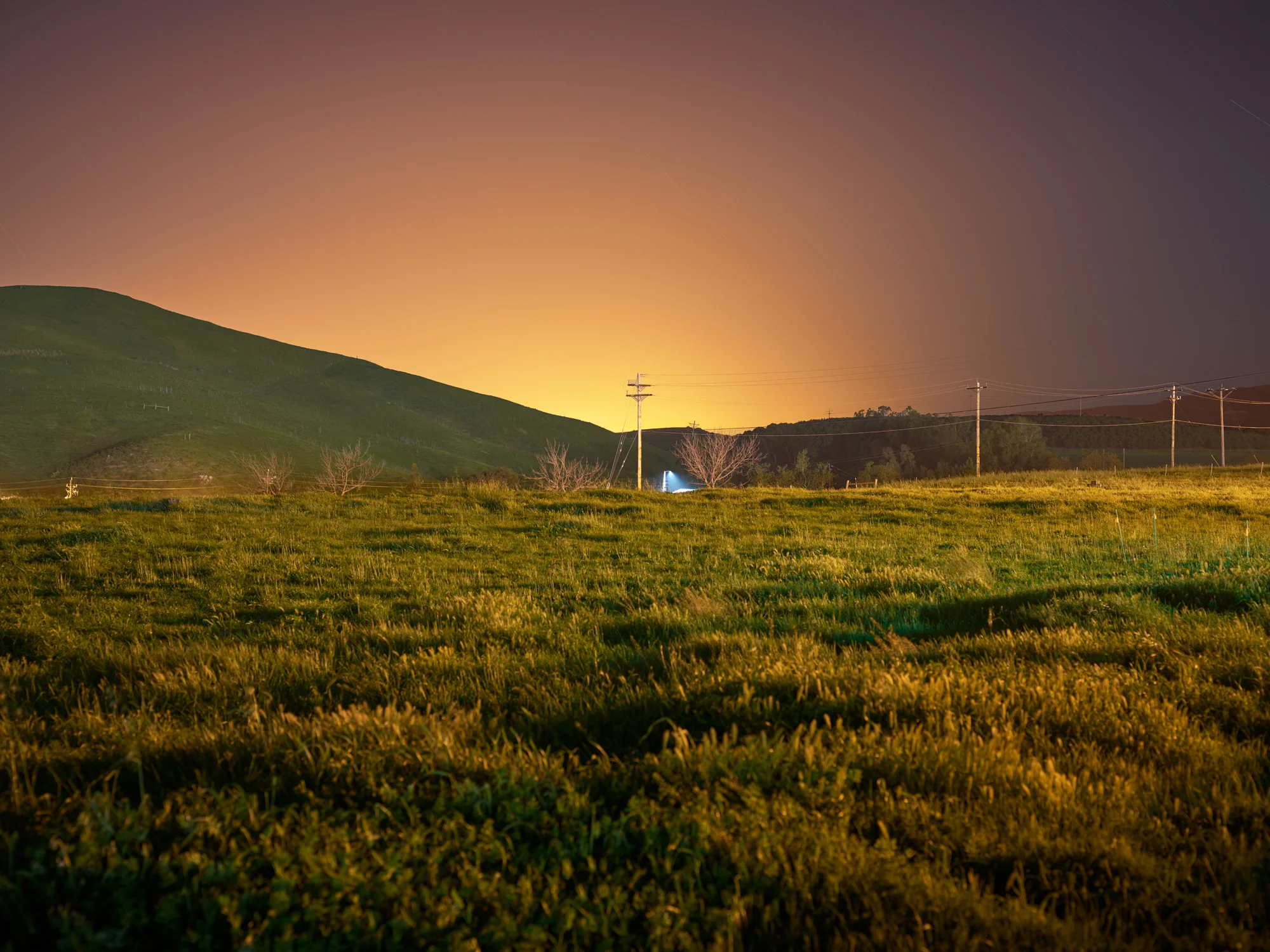 CF000364_CaliforniaMensColony.jpg