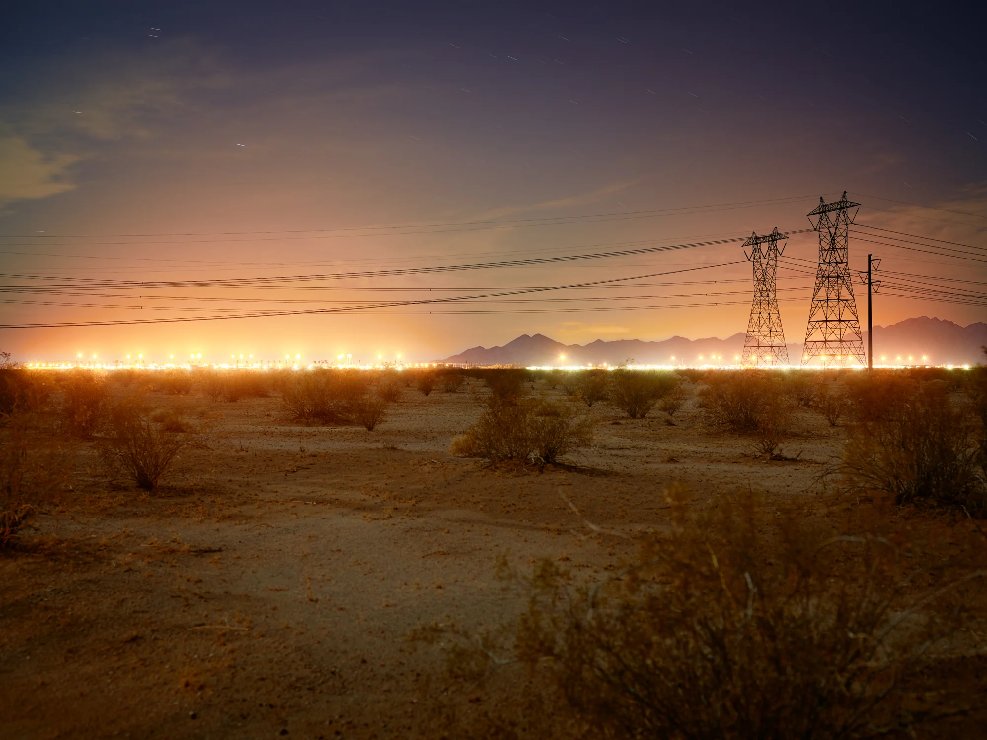 CF011450_Ironwood_Chuckwalla.jpg