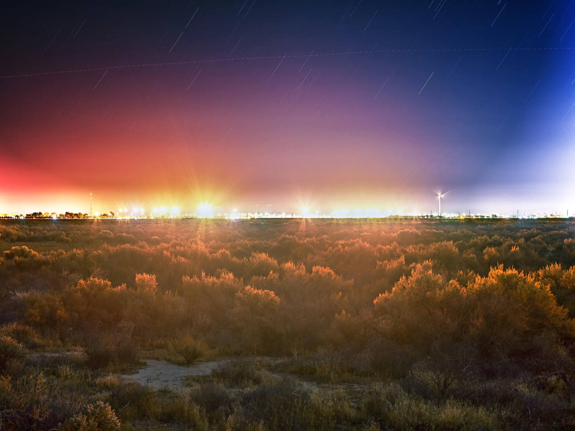 CF012193_CA SP LA.jpg