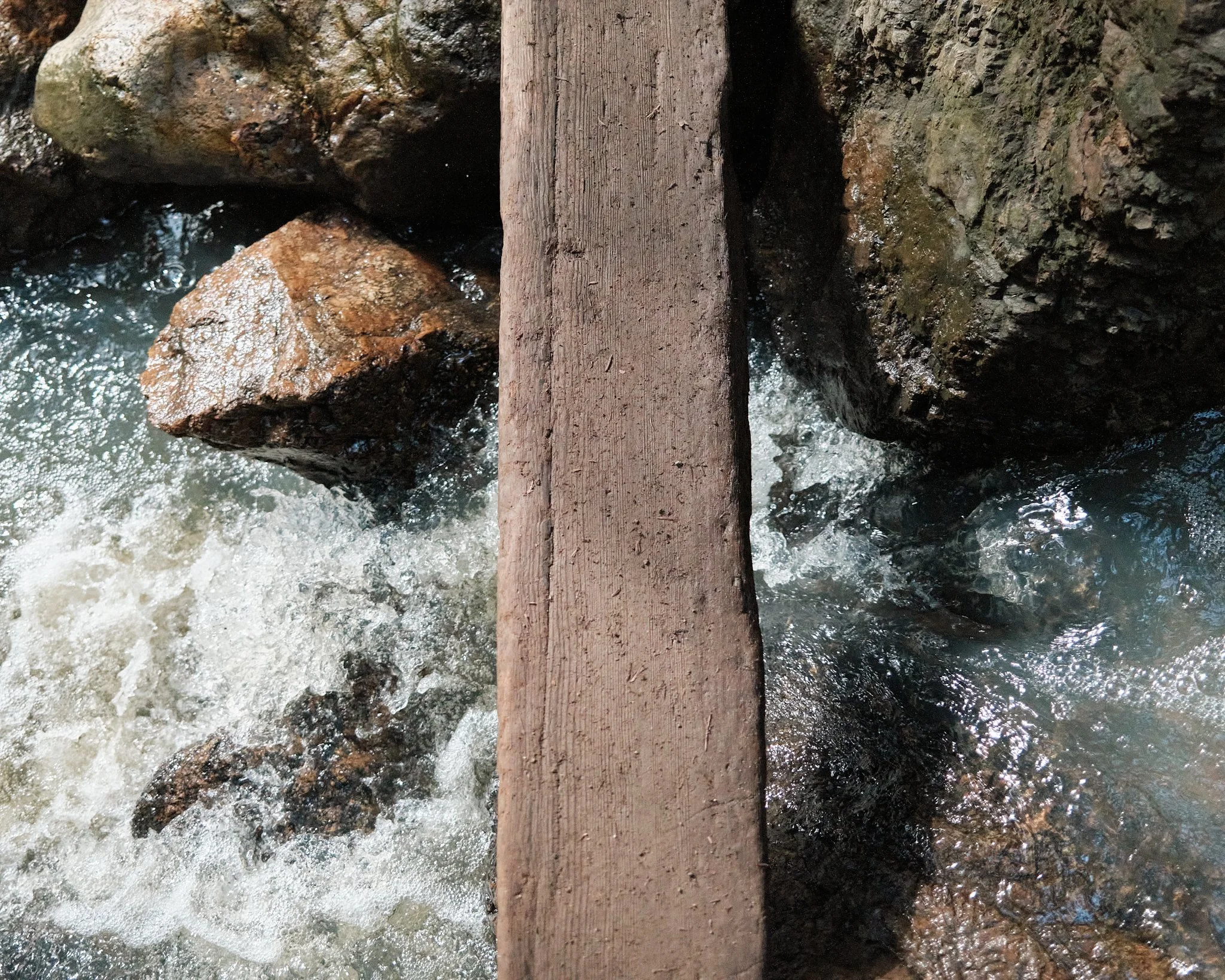 DSCF0460.jpg