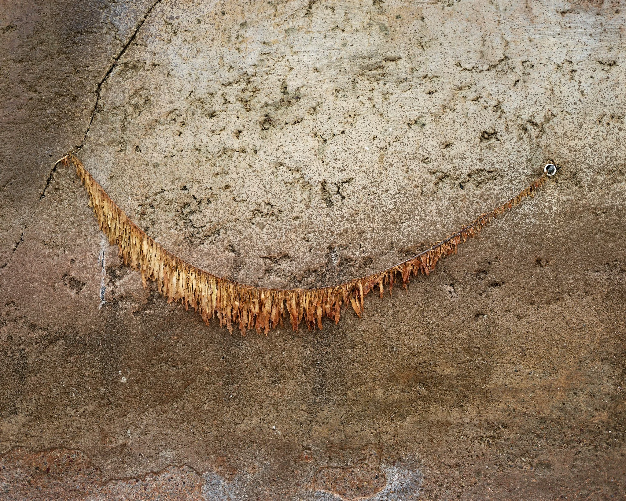 CF000230_12_0911_SanDiego.jpg