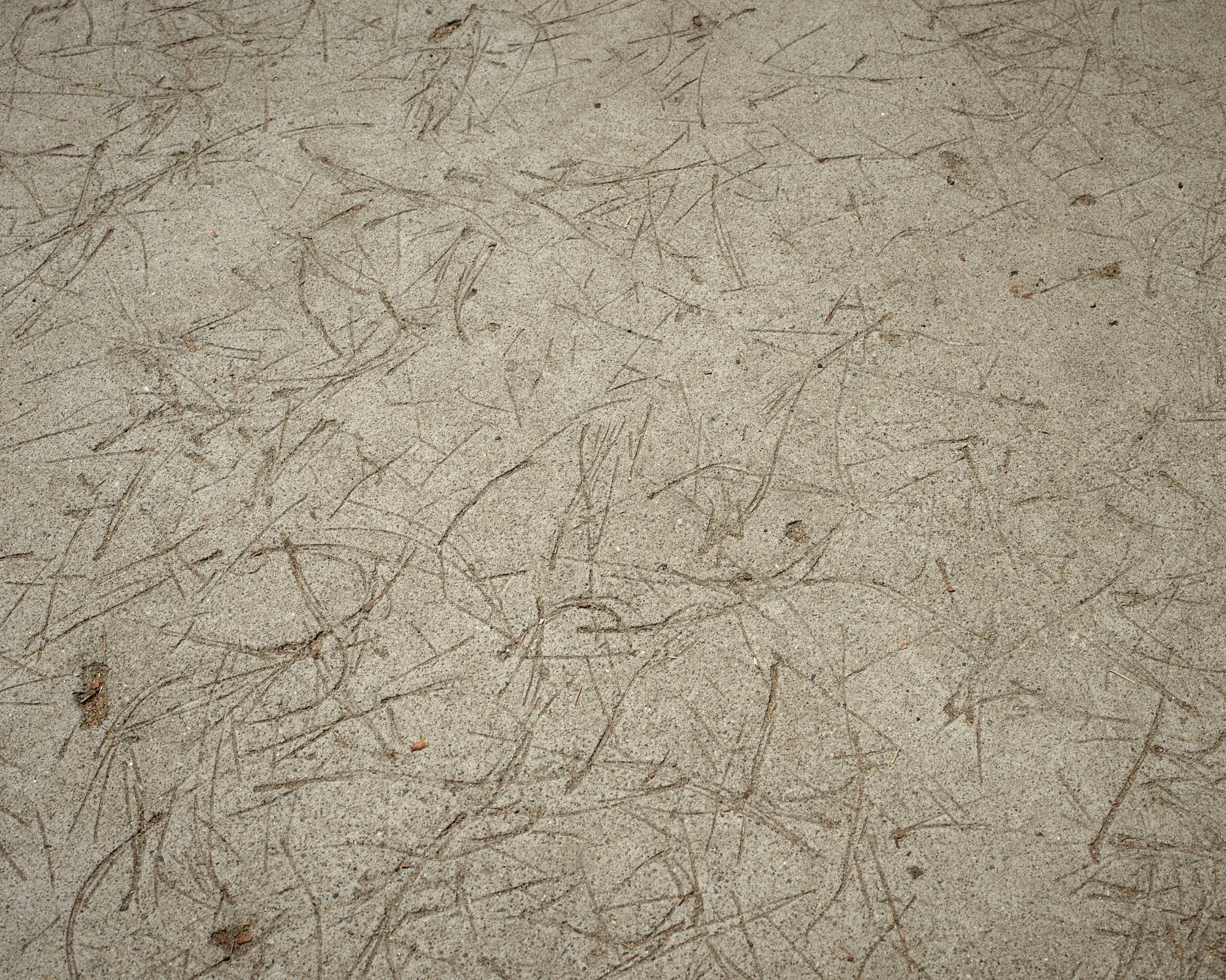 CF019958 2.jpg