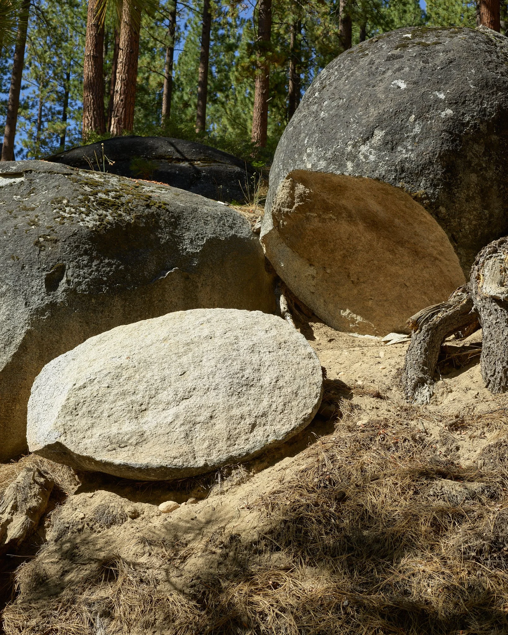 CF048151.jpg
