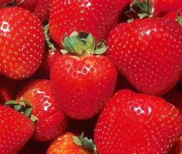 Day eleven of my 21-day Bliss More meditation challenge involved asking myself stronger questions when it comes to solidifying habits, and in addition to meditating daily I'm committed to replacing processed sugar with natural sweets like fresh berries. #blissmore #blissmorechallenge