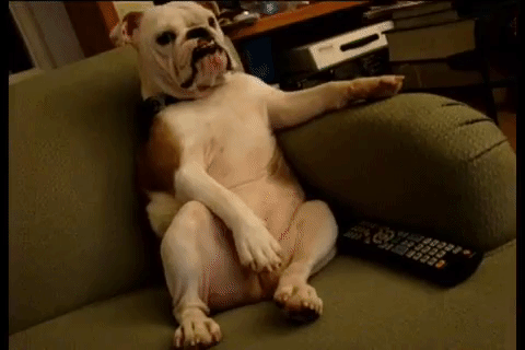 giphy (72).gif