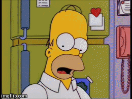 giphy (73).gif