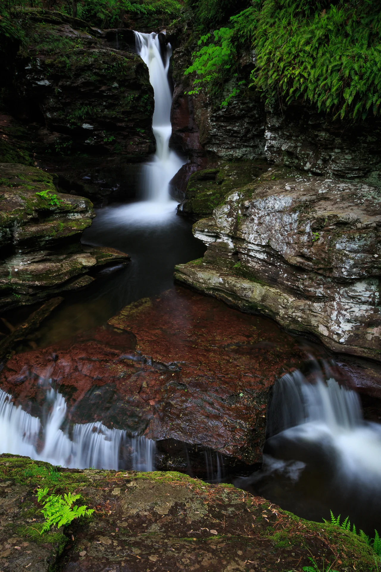 Ricketts Glen Adams Falls