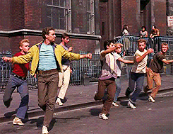 tumblr_mv8jjojxjL1smpwnuo8_250.gif