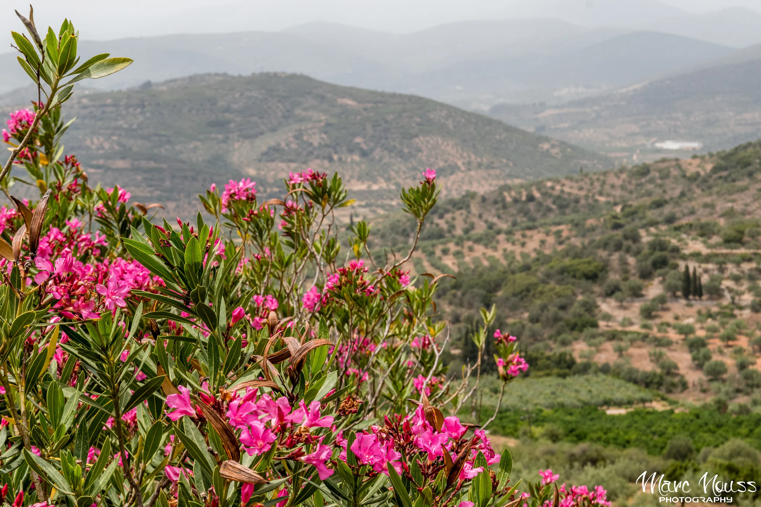Mycenaean View