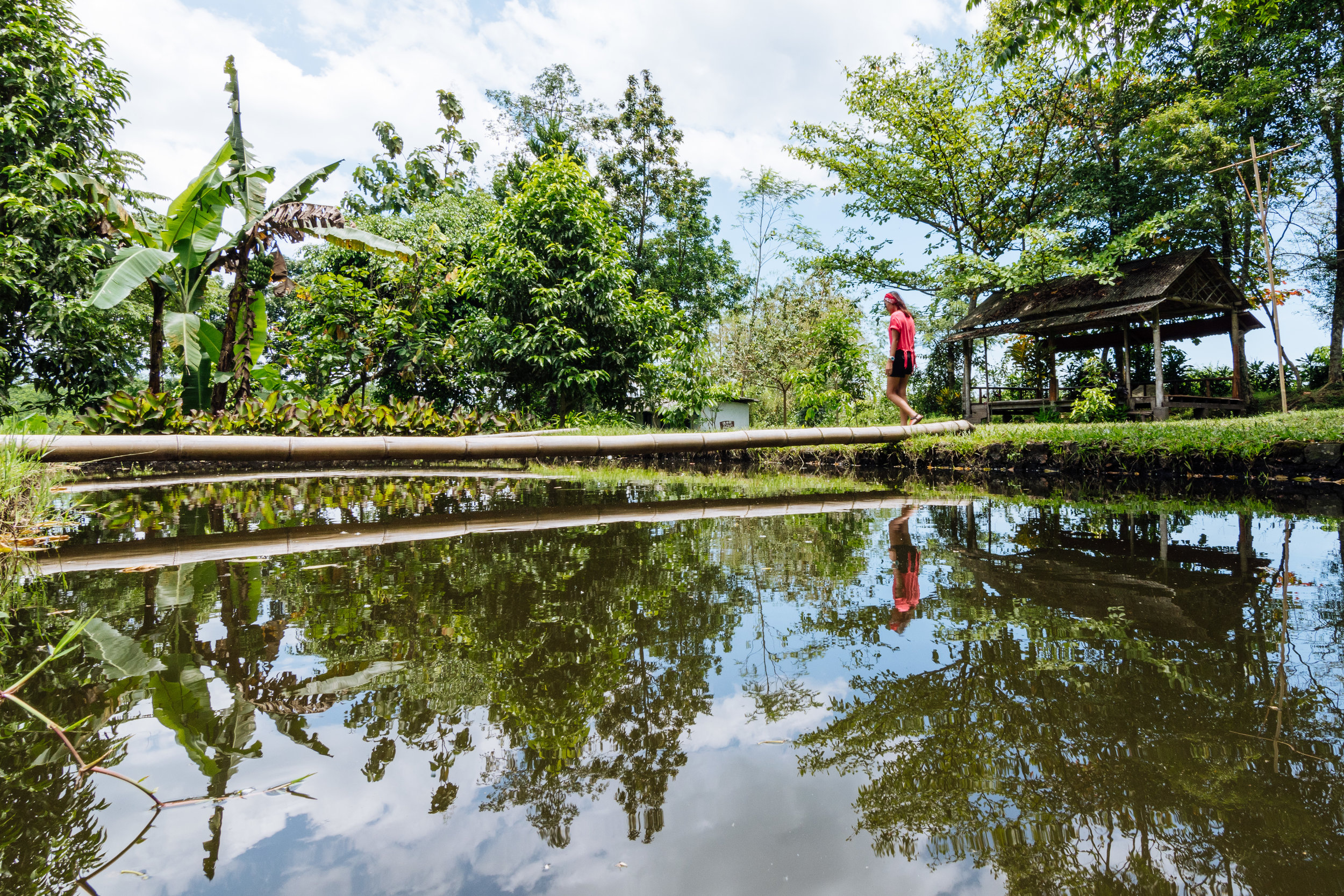  Exploring Desa Pentingsari with the beautiful    Eva Noviana    