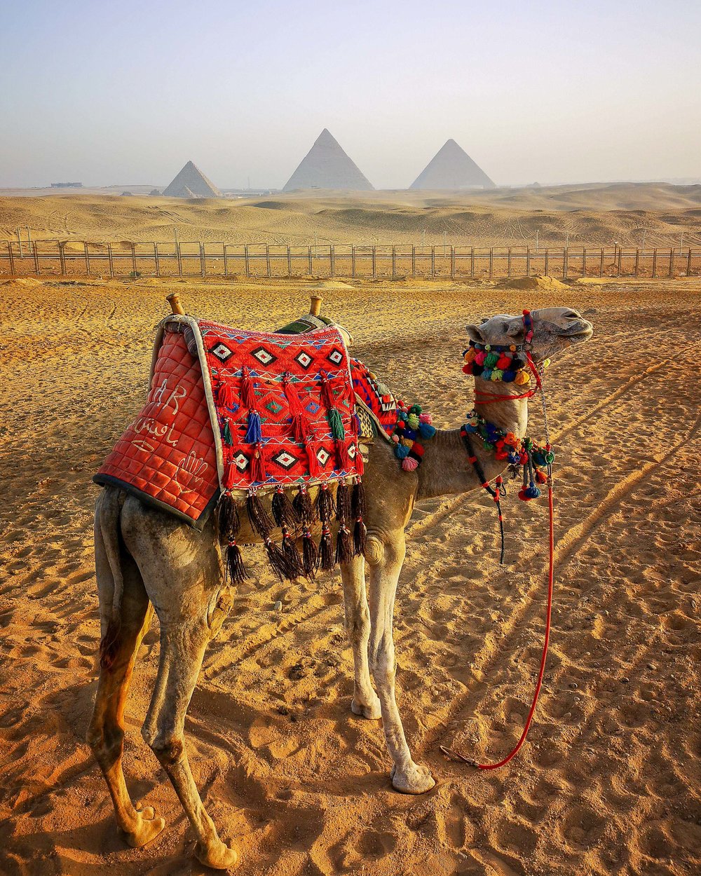Egypt with EgyptAir - Marc Nouss Photography-1.jpg