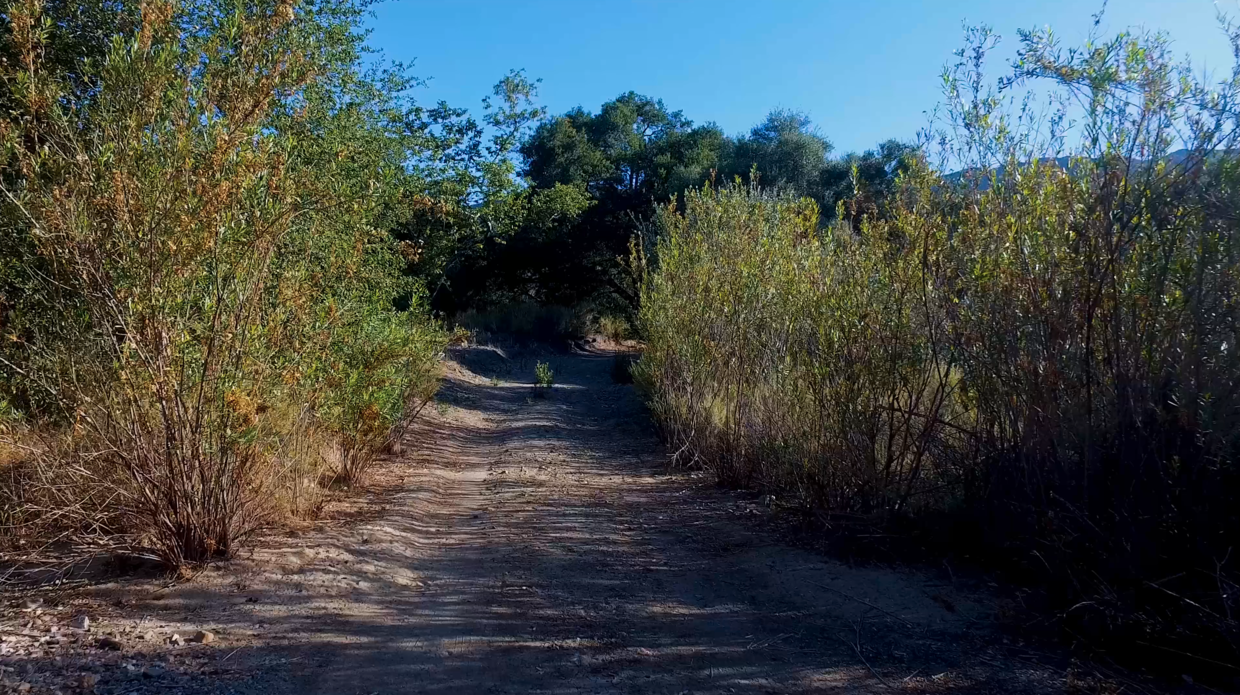 Experience a relaxing virtual hike  through Trabuco Rose Preserve