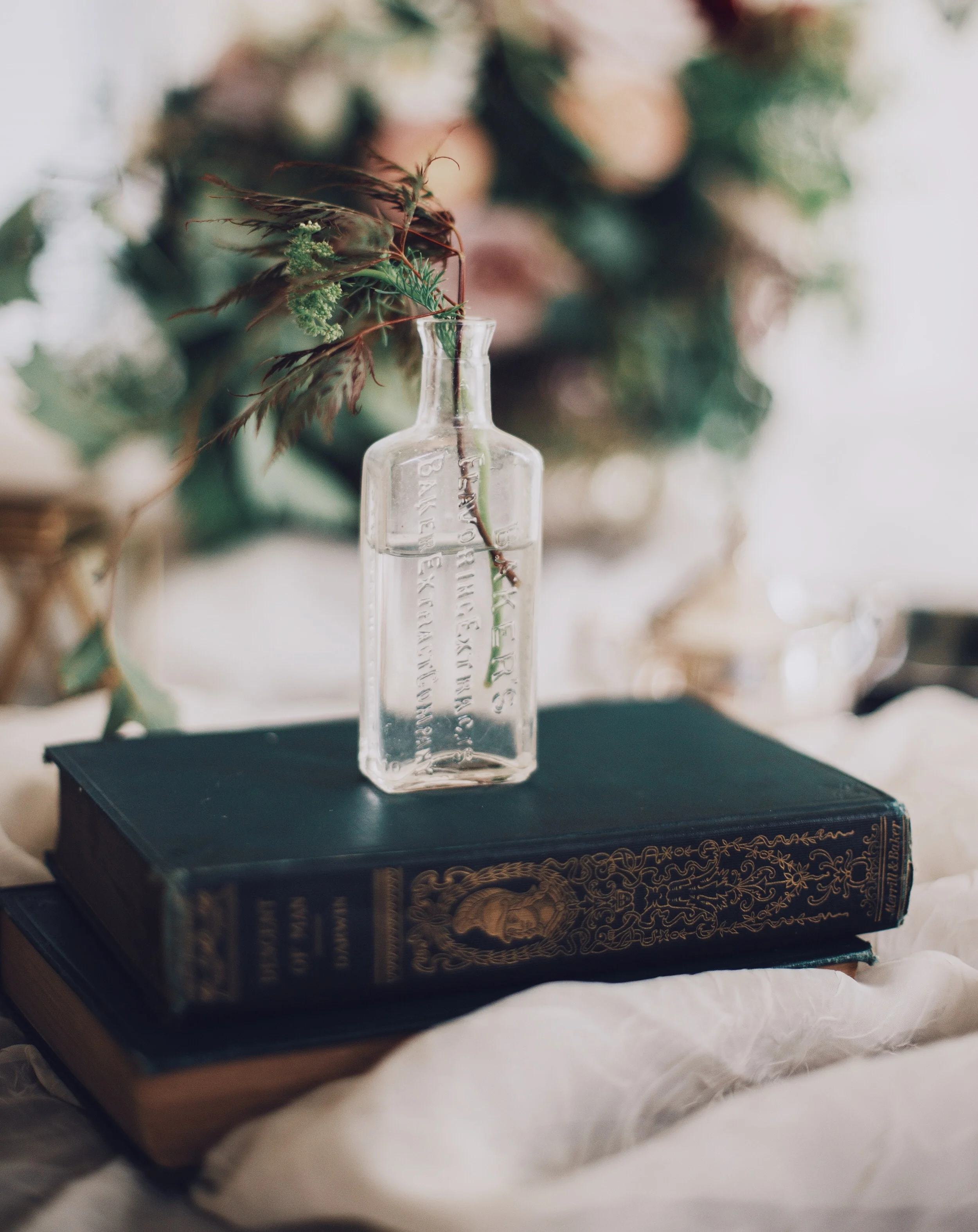 Cosmologies of Soul: Astrology and Alchemy