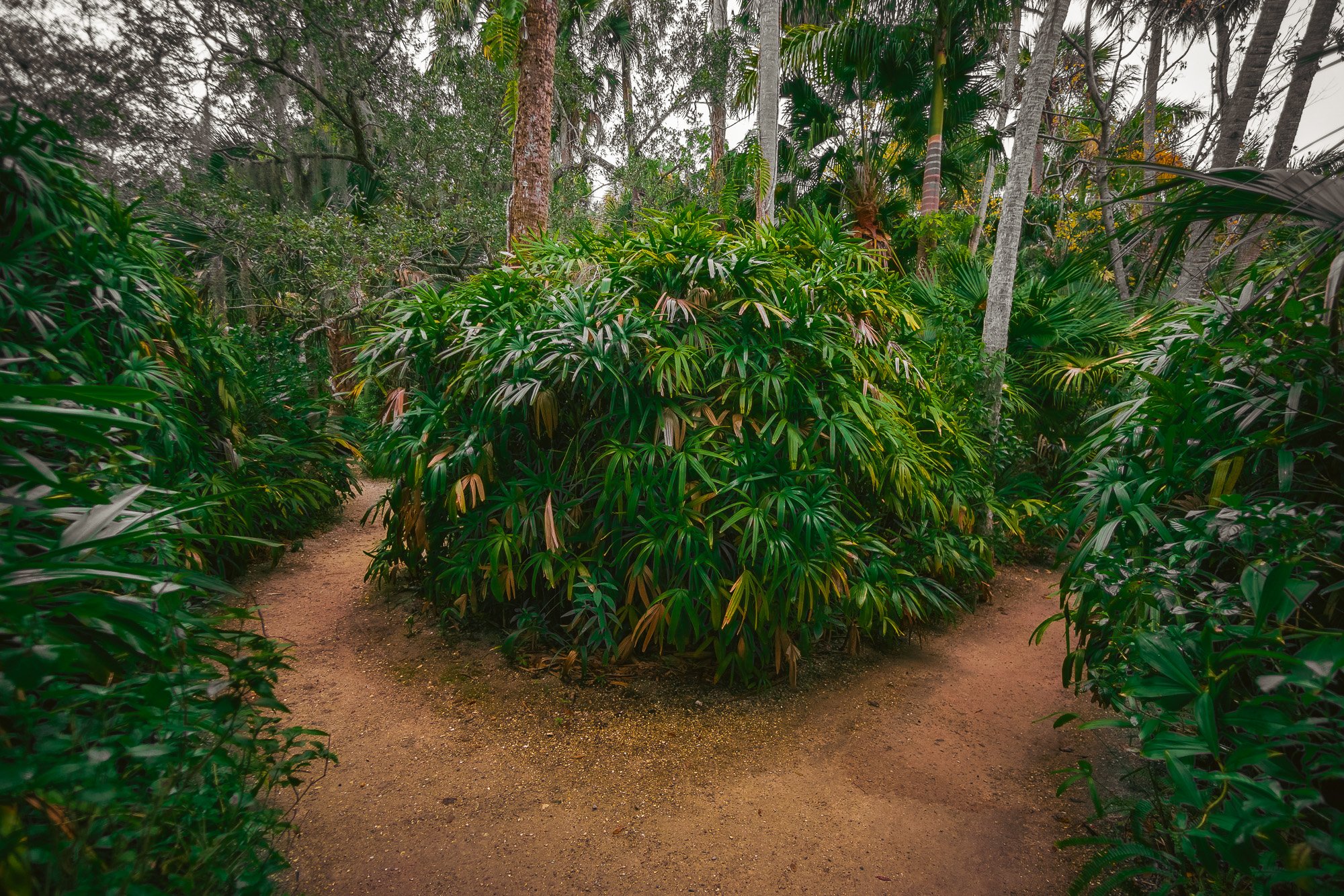 20220122-AAS07488.jpg