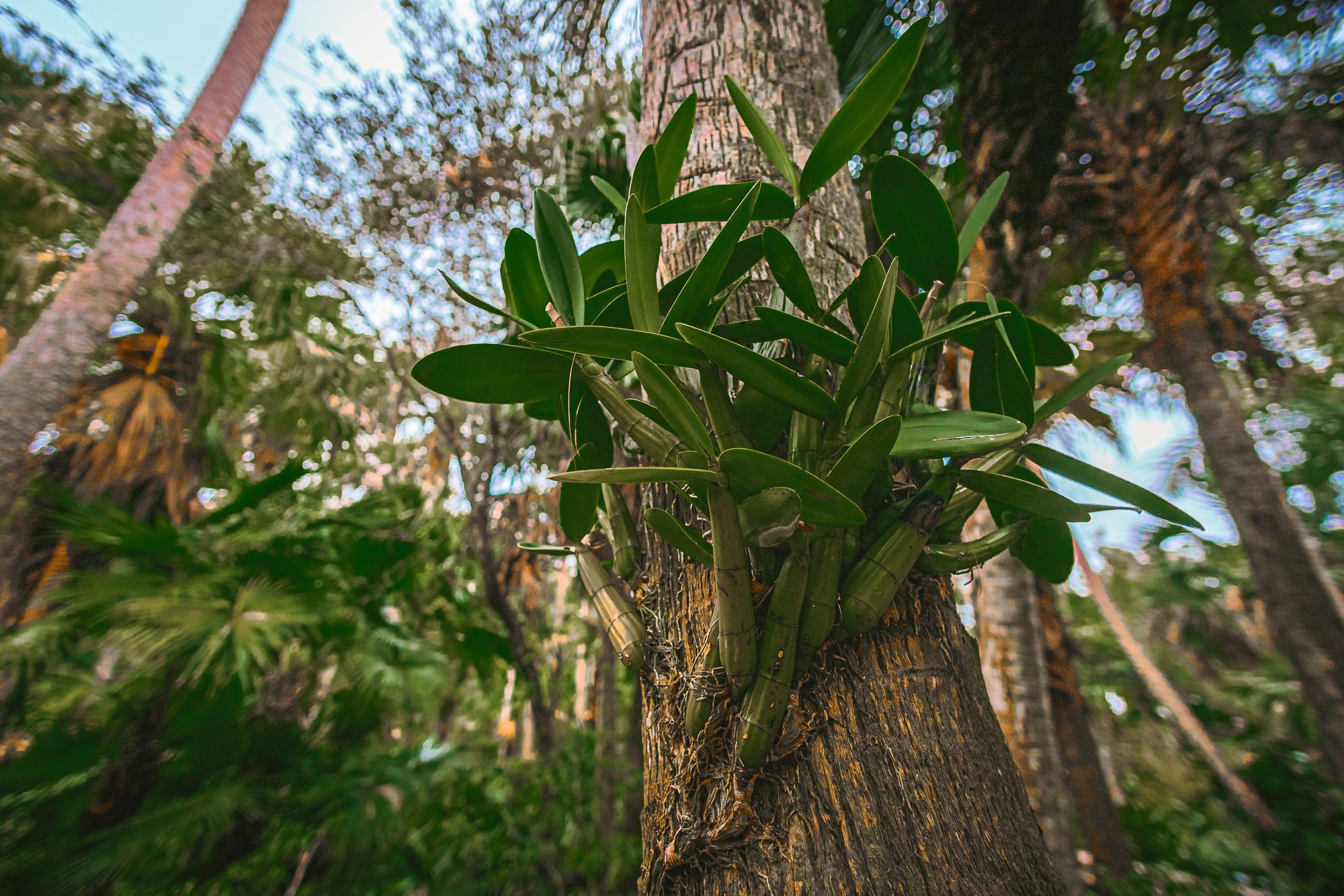 20220122-AAS07456.jpg