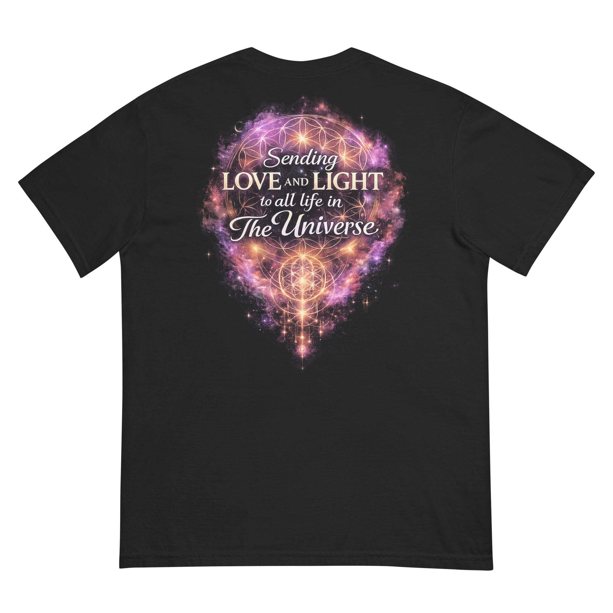 unisex-garment-dyed-heavyweight-t-shirt-black-back-6a3857f438932.png