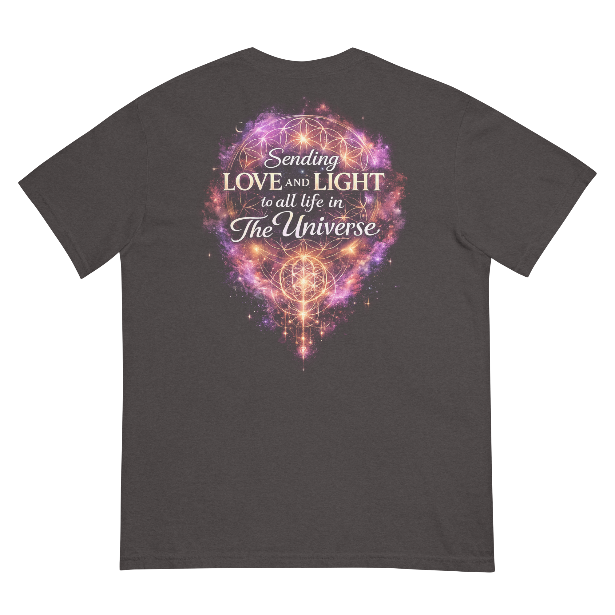 unisex-garment-dyed-heavyweight-t-shirt-graphite-back-6a3857f43a983.png