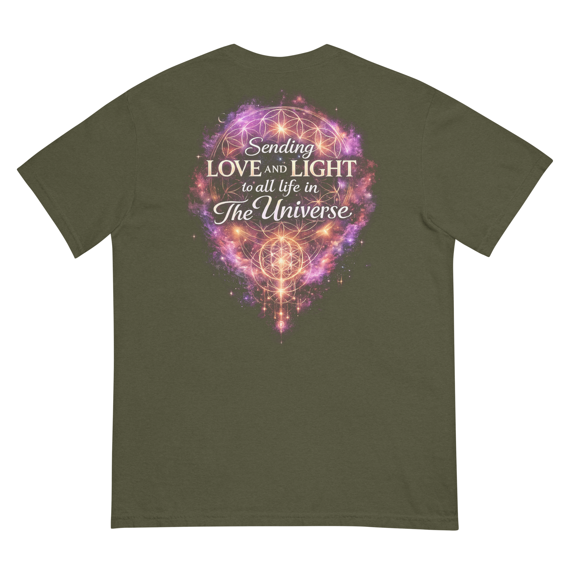 unisex-garment-dyed-heavyweight-t-shirt-sage-back-6a3857f43f837.png