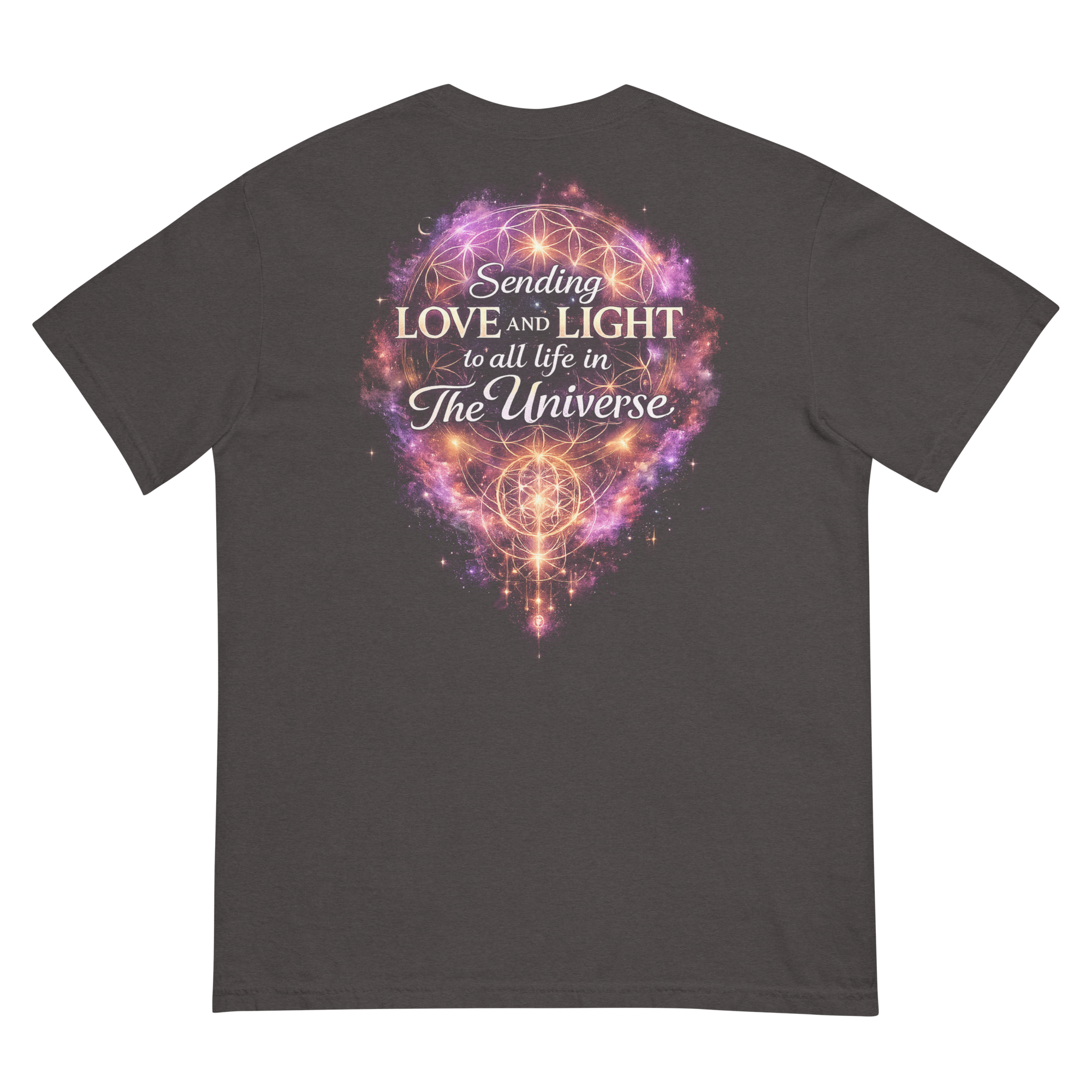 unisex-garment-dyed-heavyweight-t-shirt-graphite-back-6a38c65846da9.png