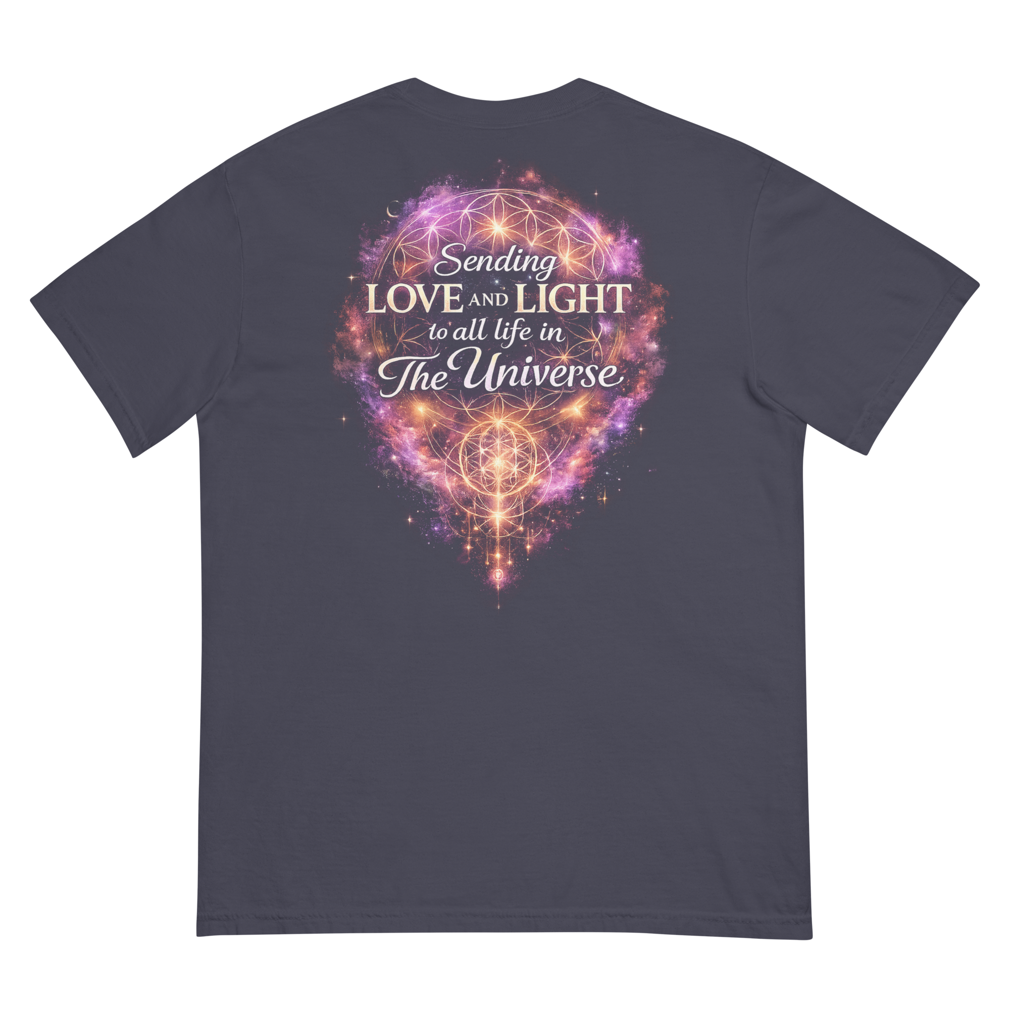 unisex-garment-dyed-heavyweight-t-shirt-navy-back-6a38c65848a3c.png