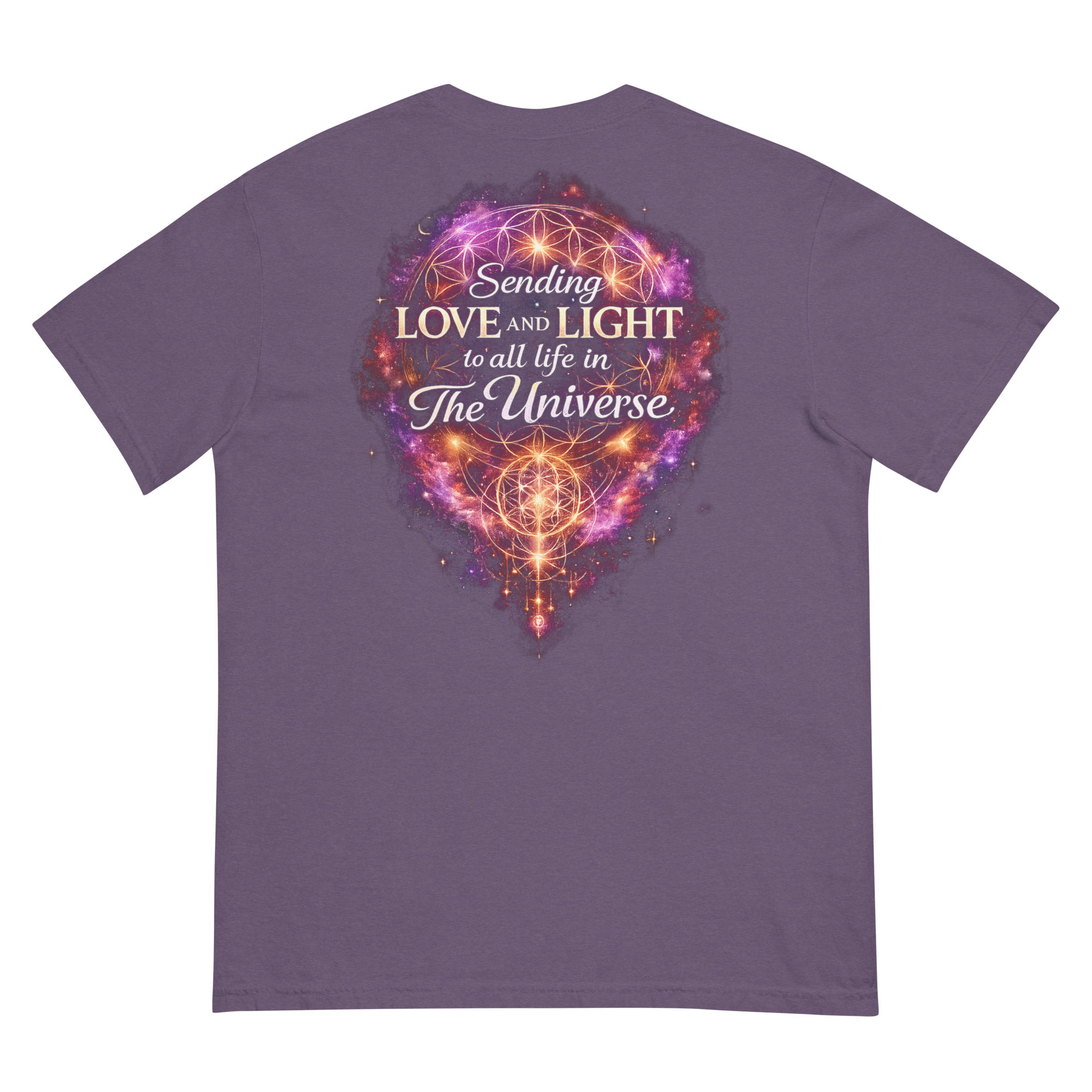 unisex-garment-dyed-heavyweight-t-shirt-grape-back-6a38c658594f9.png