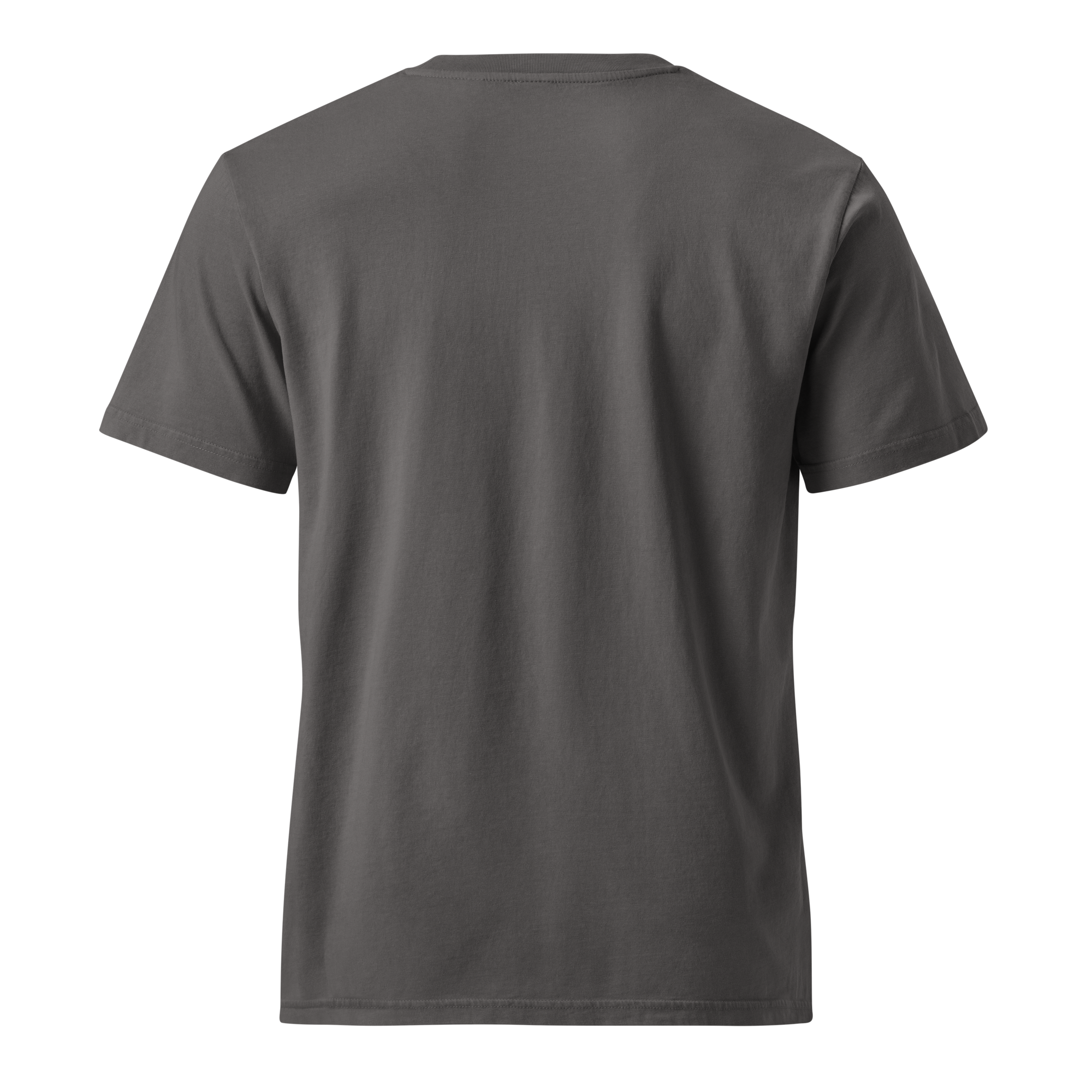 unisex-garment-dyed-creator-2.0-vintage-t-shirt-g.-dyed-anthracite-back-6a47dd0112ac2.png