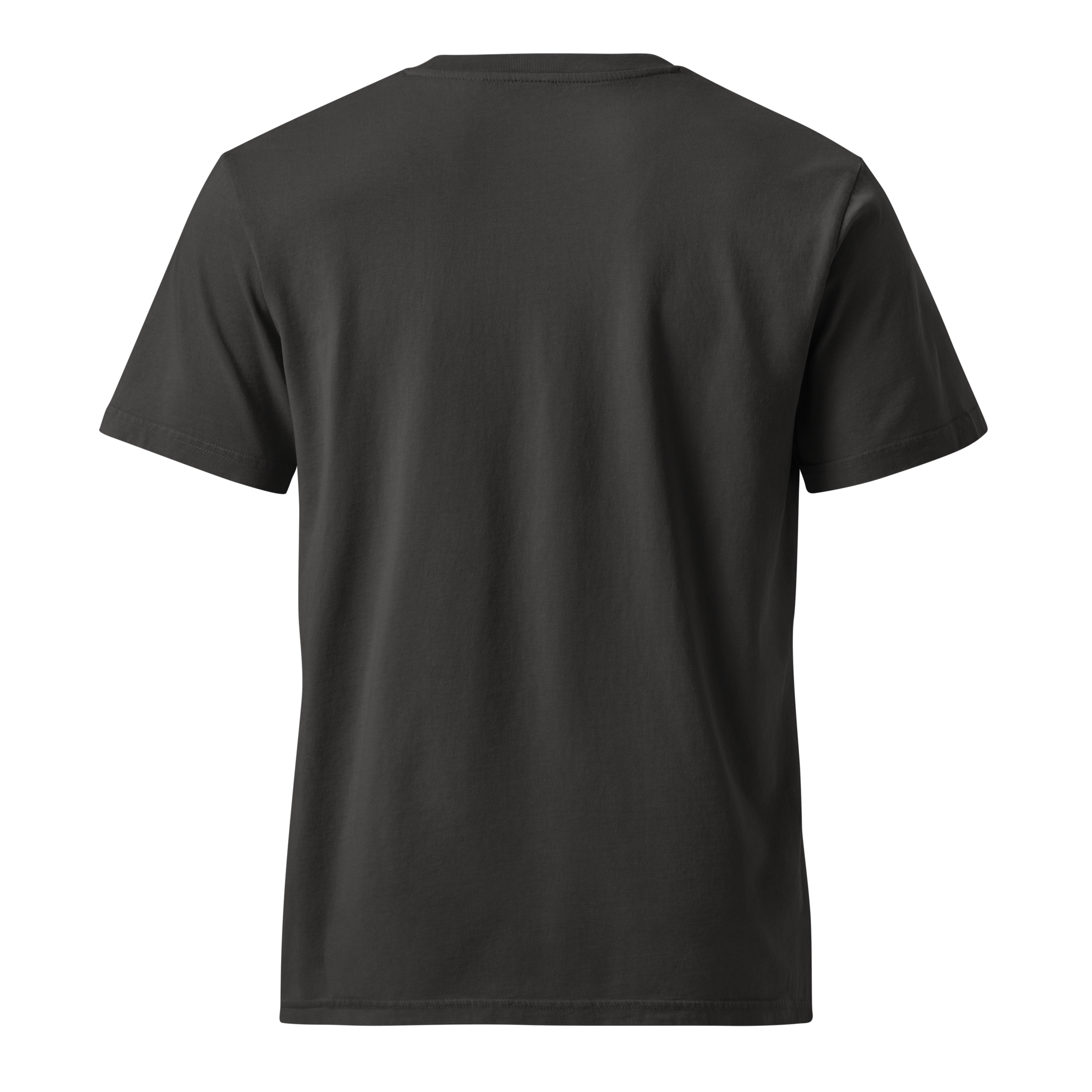 unisex-garment-dyed-creator-2.0-vintage-t-shirt-g.-dyed-black-rock-back-6a487174dbb64.png