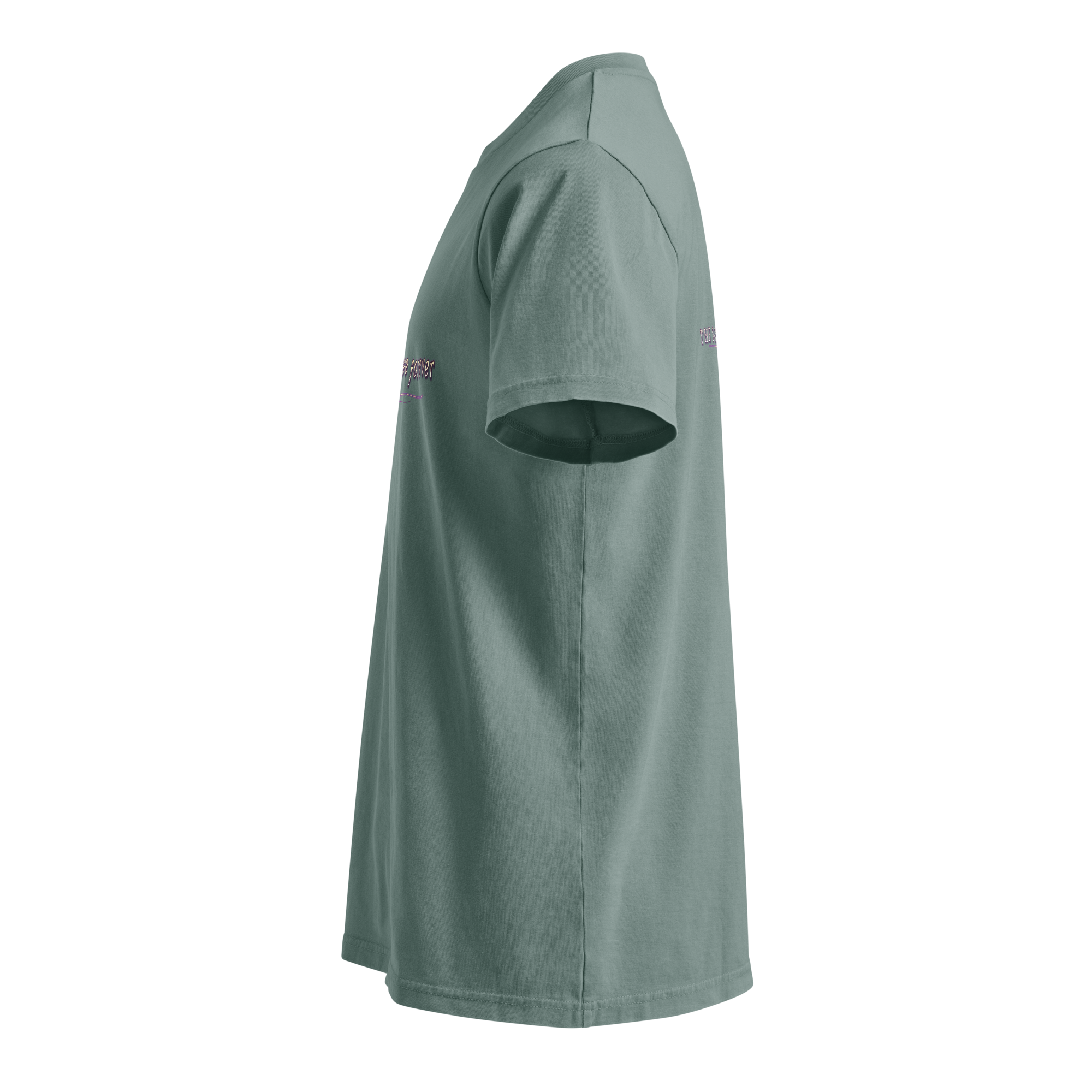 unisex-garment-dyed-creator-2.0-vintage-t-shirt-g.-dyed-green-bay-left-6a4880ee4edaf.png